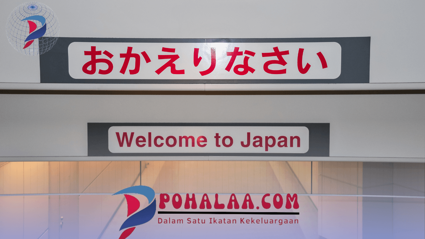 500 Pon Bom Perang Dunia II Meledak di Bandara Miyazaki: 80 Penerbangan Dibatalkan, Tanpa Korban!