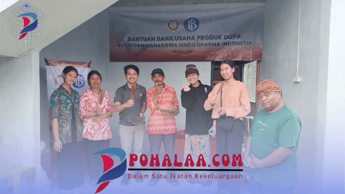 organisasi