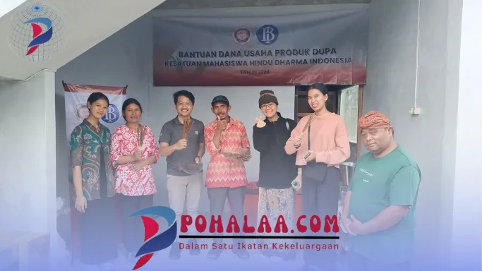 organisasi